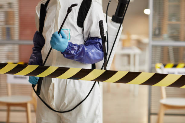 Professional Sewage Cleanup technician working in Simla, CO